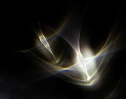 image: in vino: Grauburgunder I